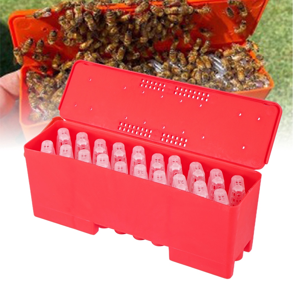 Beekeeper Supplies Queen Bee Transport Box With Queen Cages Rearing