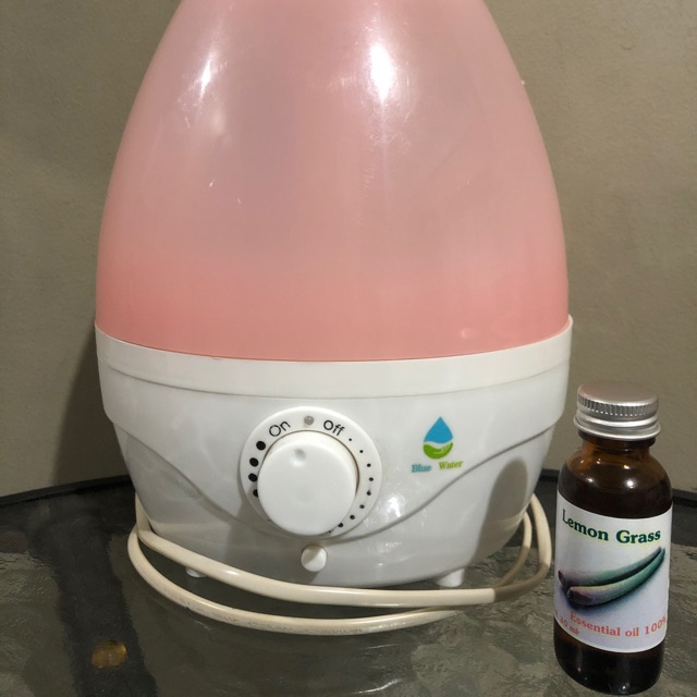 Air Humidifier with FREE Essential Oil Shopee Philippines