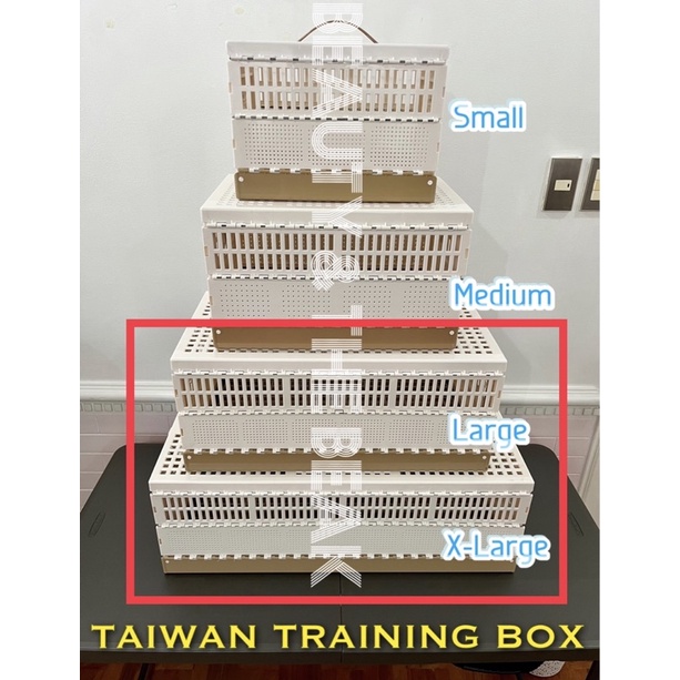 Pigeon Foldable Taiwan Training Box Tbox Cage Plastic LARGE XL ON HAND
