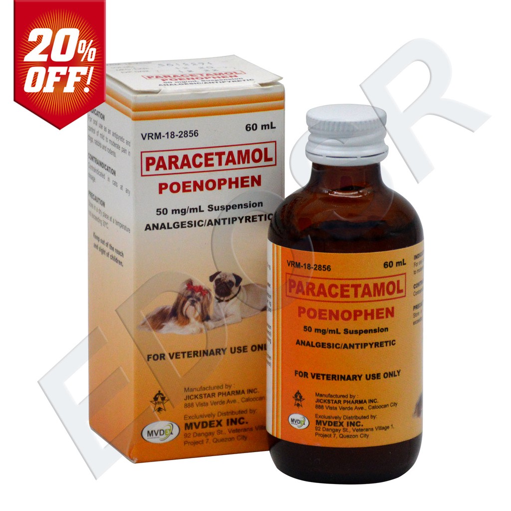 Can You Give Calpol To Dogs