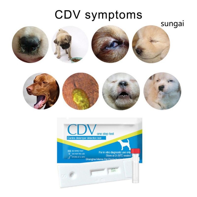 What Are The Signs Of Distemper In Dogs