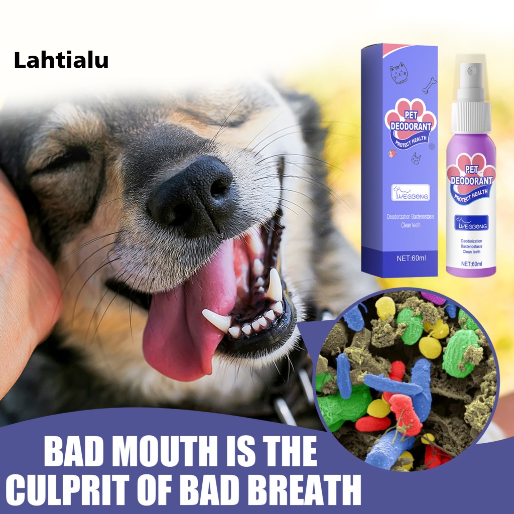 How To Eliminate Bad Breath In Dogs