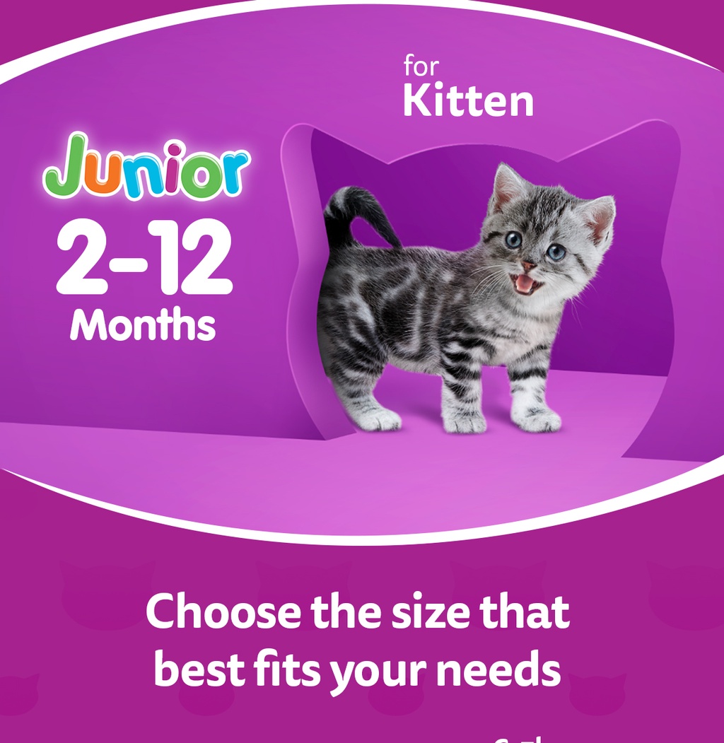 WHISKAS Junior Dry Kitten Food Ocean Fish Flavor with Milk, 450g. Pet