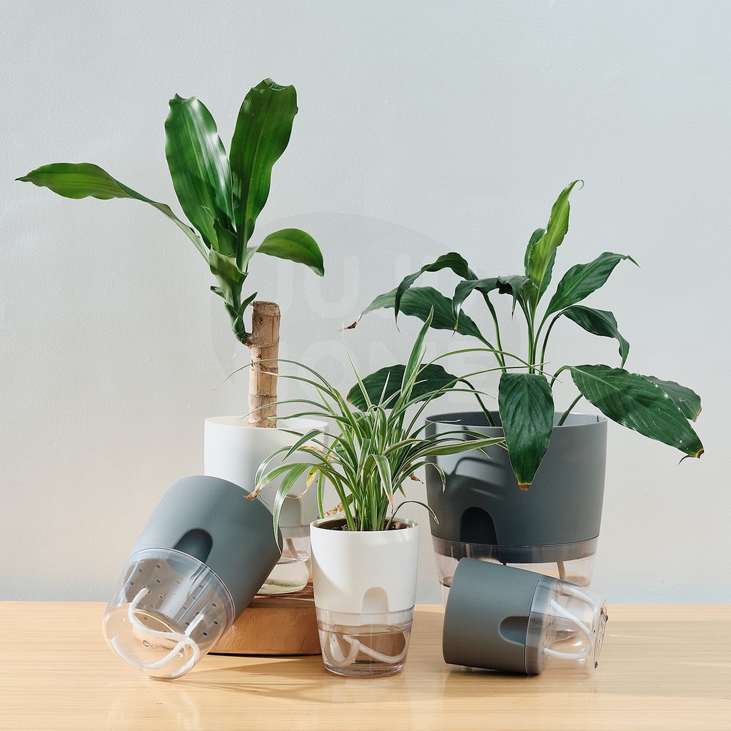 Selfwatering Plastic Flower Pot Automatic Water Absorbing Hydroponics