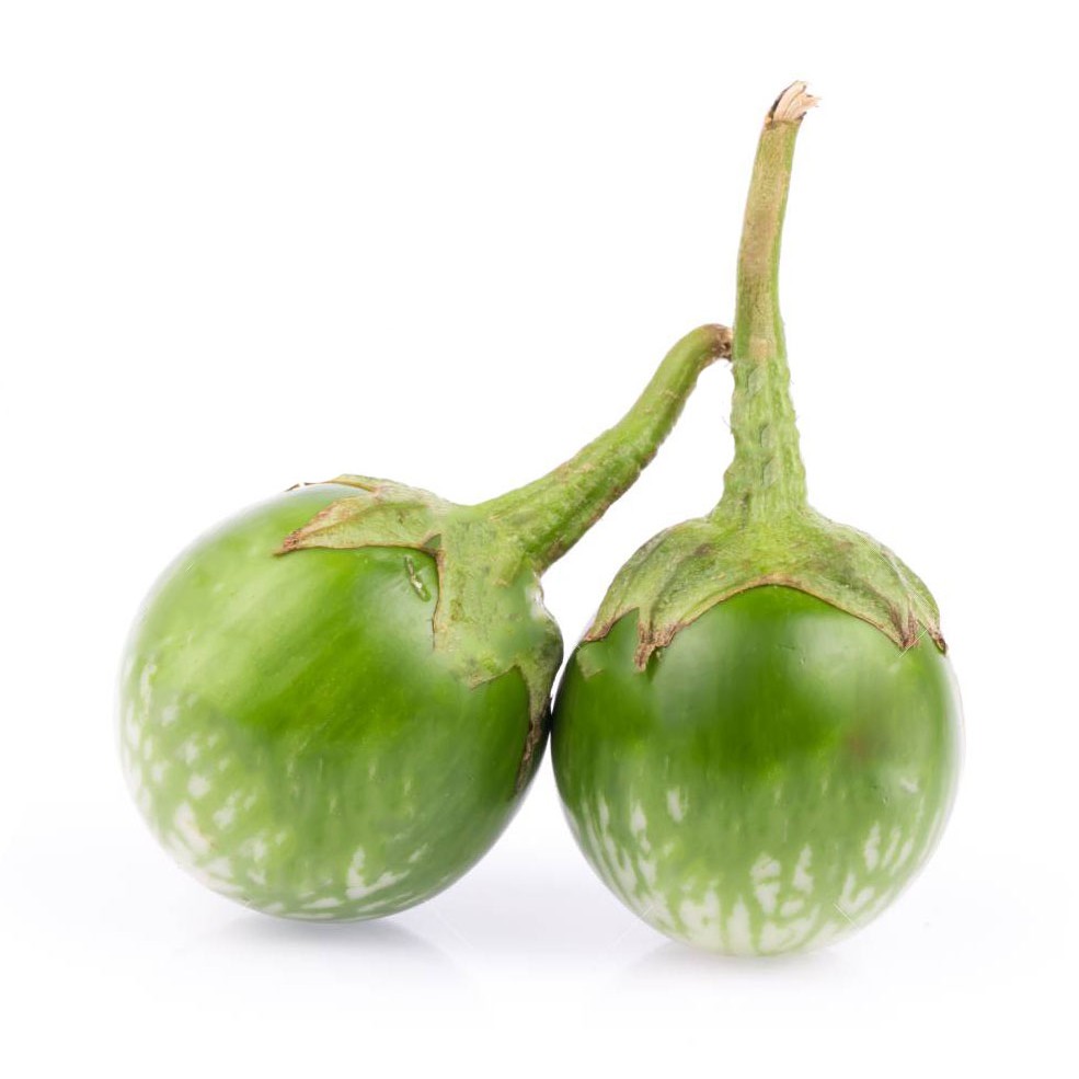 Thai green eggplant vegetable seeds Shopee Philippines
