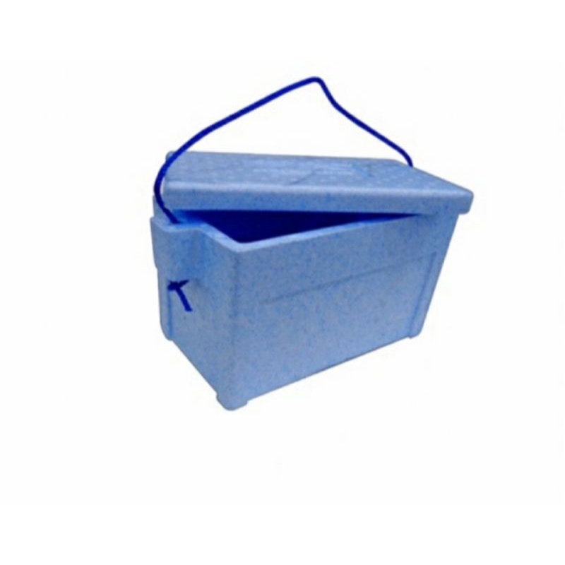 STYRO ICE BOX LARGE WITH HOLDER Shopee Philippines