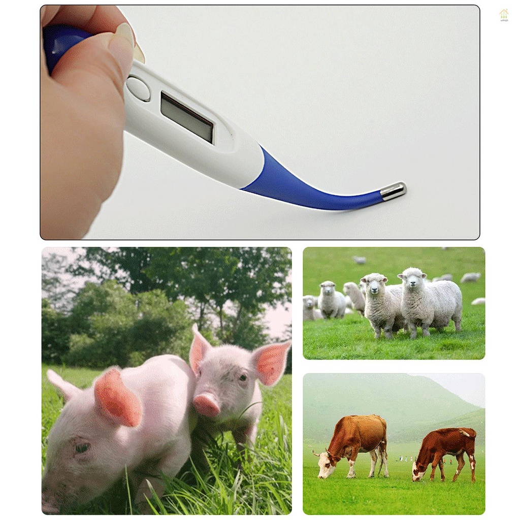 Animal Thermometer Digital LED Display Thermometer Fast Reading