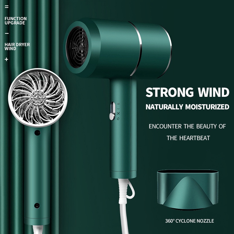 Hair dryer With Portable blower brush hair dryer Mini dryer Pet dryer