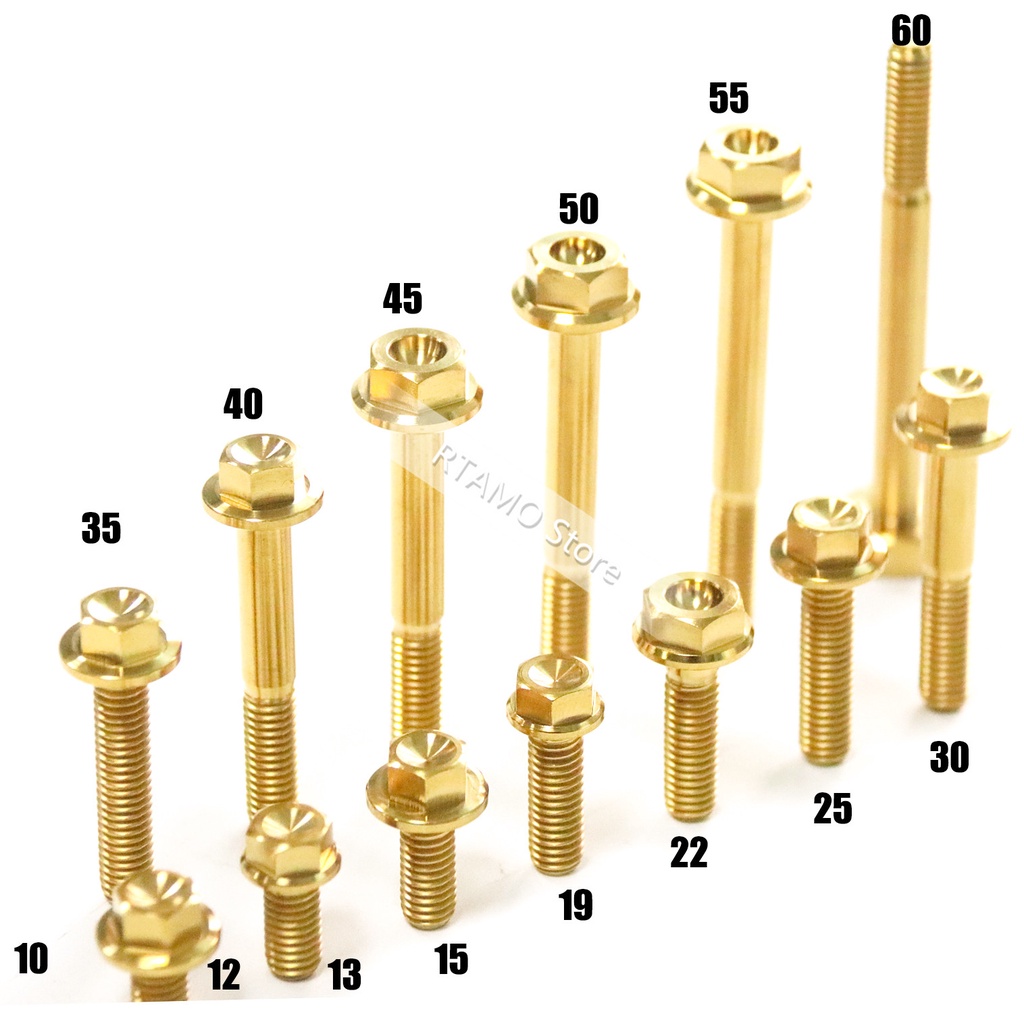 9.9 BIG SALE RTAMO Titanium Bolts M6 Size Hex Flange Body And Body Frame Flange Bolts Shopee