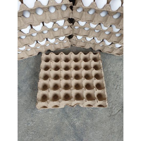 Carton Tray Egg Tray . Karton Tray Itlog . Traditional Carton Tray Egg