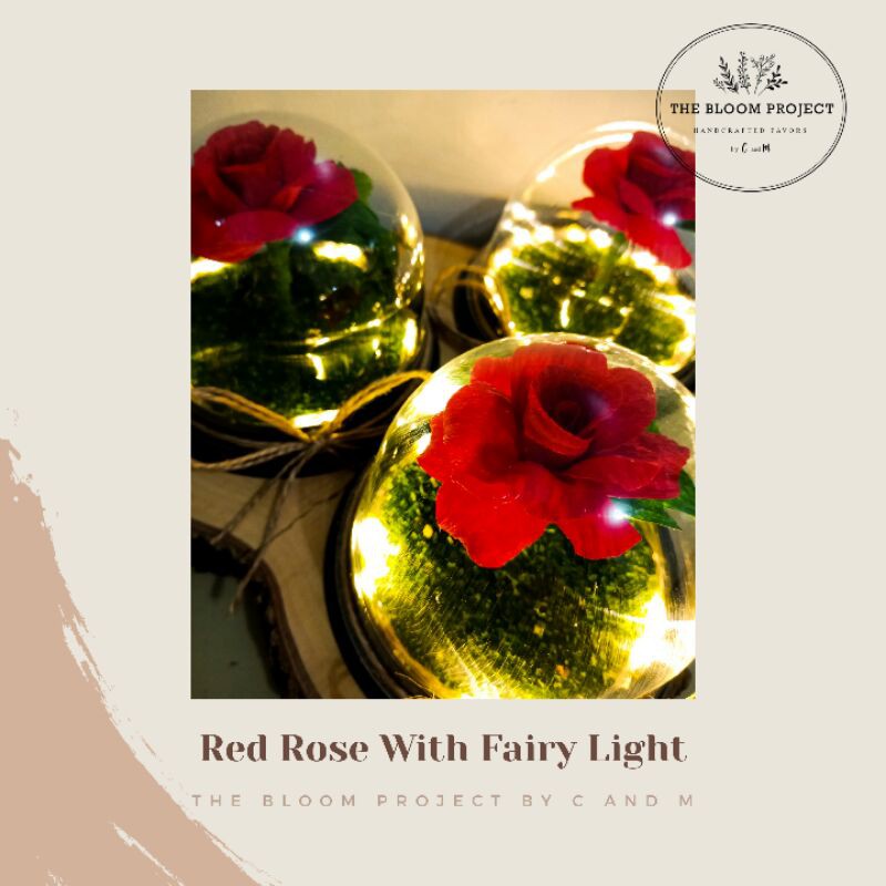 Beauty and the beast inspired red rose acetate dome souvenir Shopee