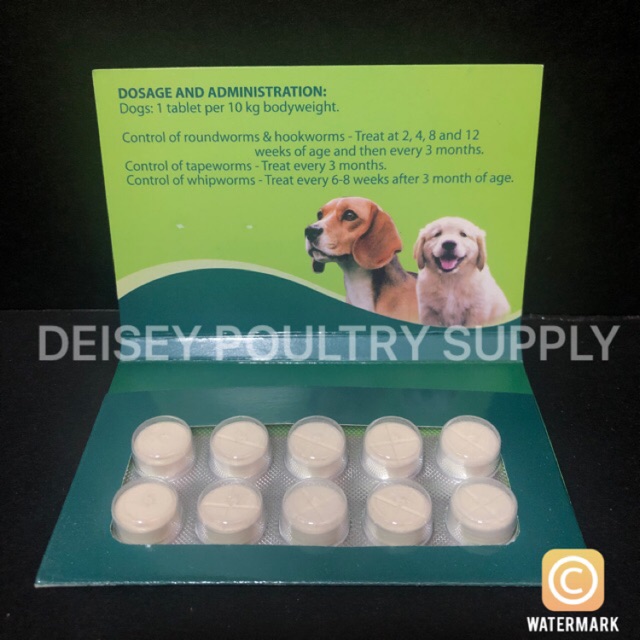 Wormguard Deworming Tablet for Dogs (10 TABLETS) Shopee Philippines