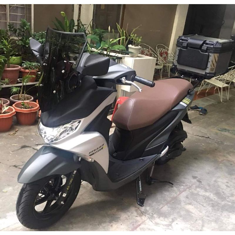 Gravis Latribanainurr