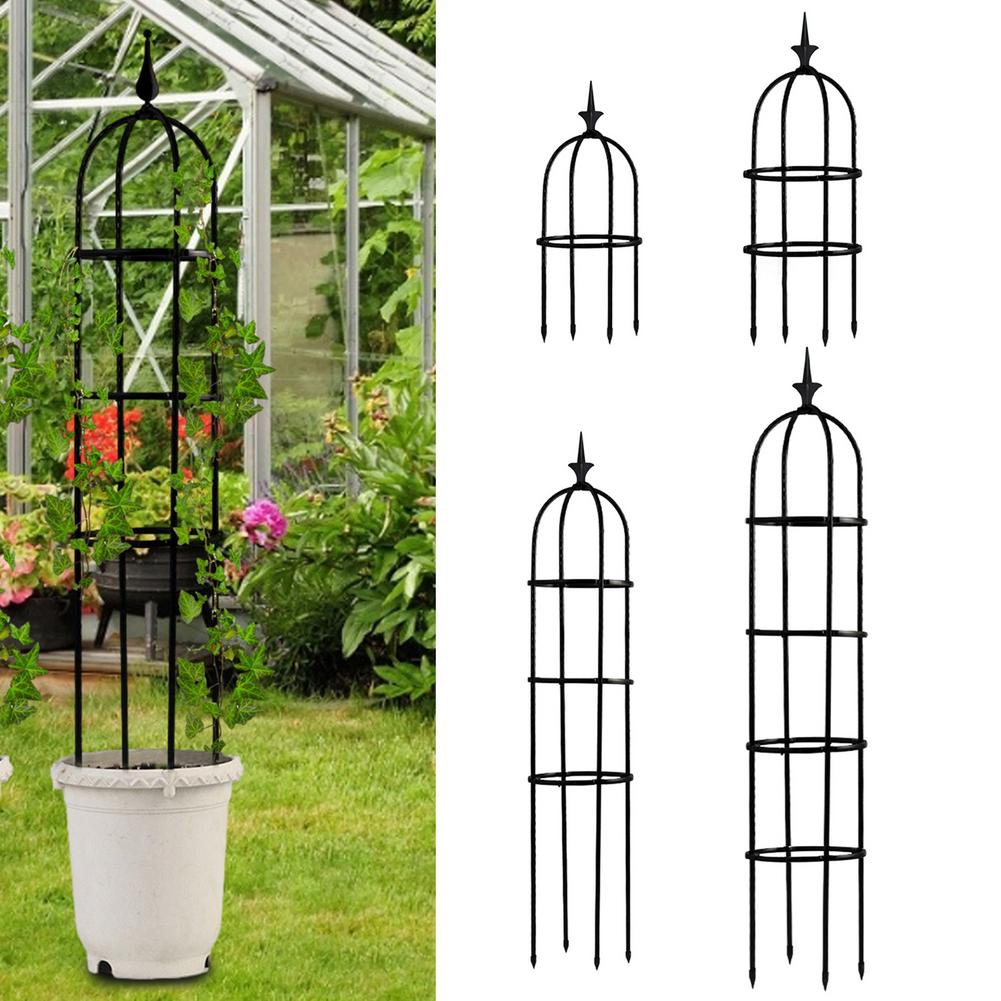 Obelisk Plant Climbing Plant Vine Rack Garden Plant Climbing Trellis