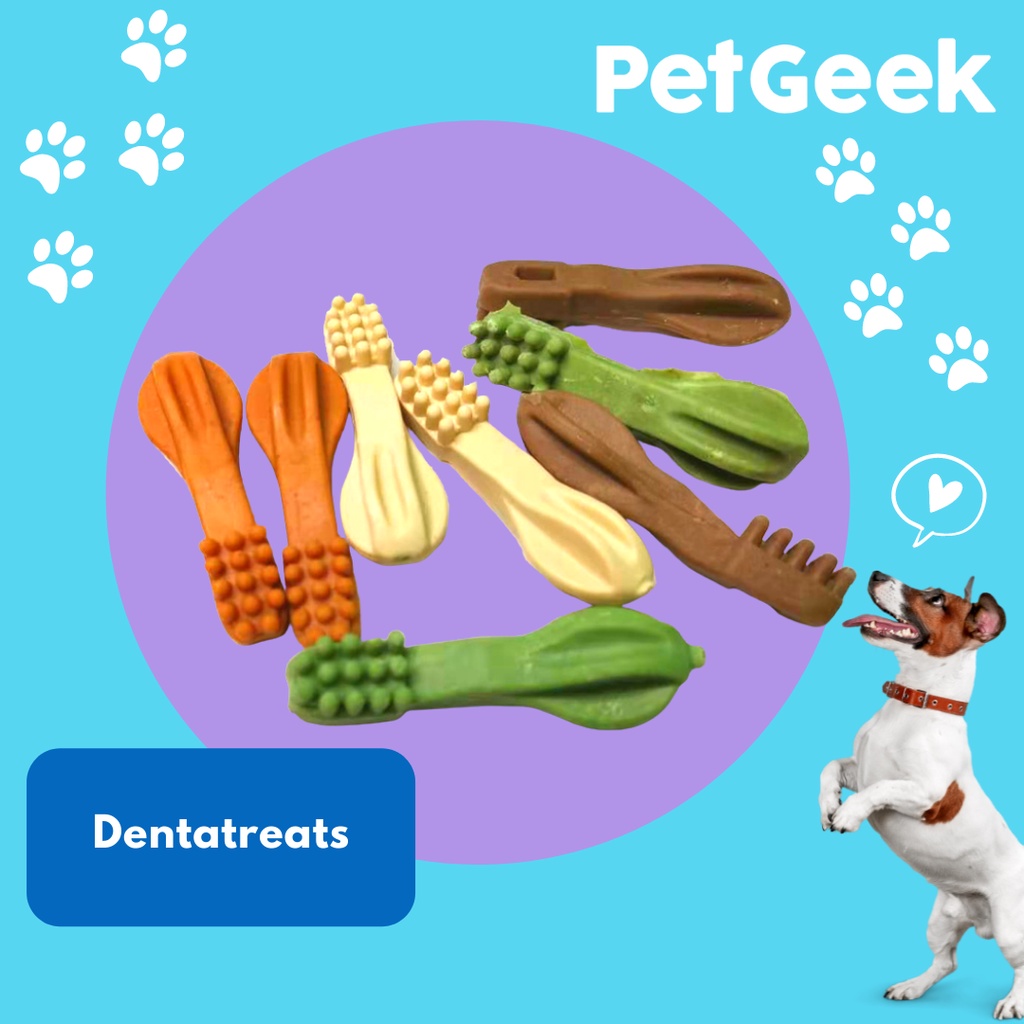 Toothbrush dentatreats all natural dog treats (100g) Shopee Philippines