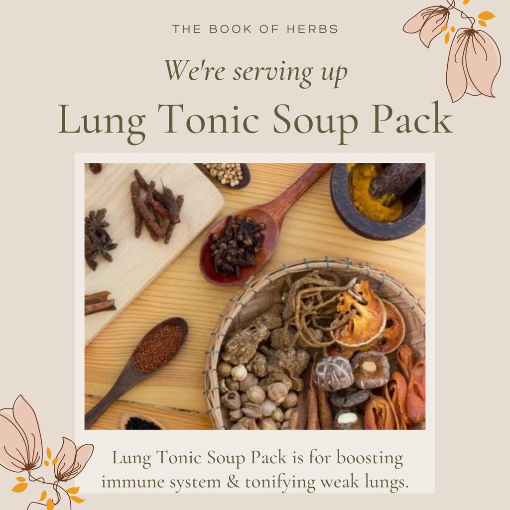 Lung Tonic Soup Pack for strong lungs Shopee Philippines