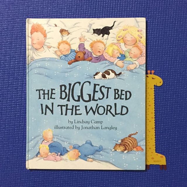 The Biggest Bed In The World Book