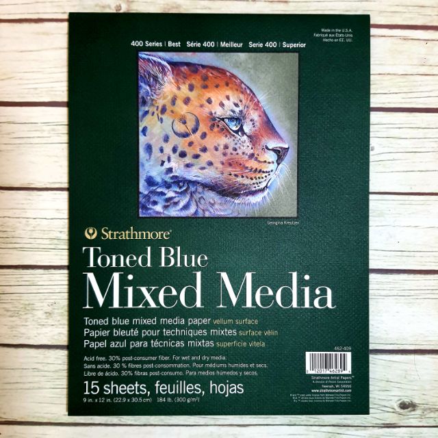 Strathmore Toned Blue Mixed Media Paper Vellum Surface Shopee