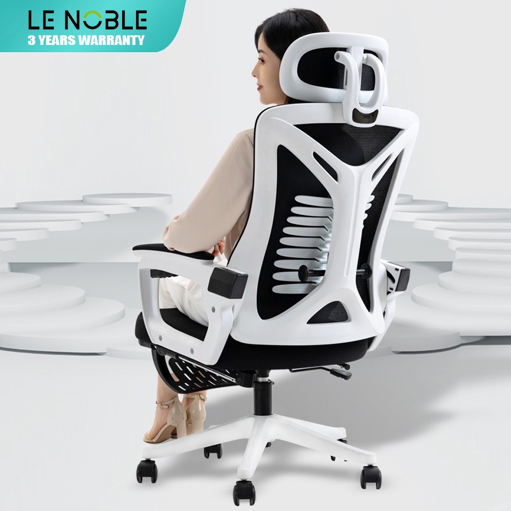 LENOBLE Office Chair Ergonomic Mesh Chair Gaming Chair Computer Chair