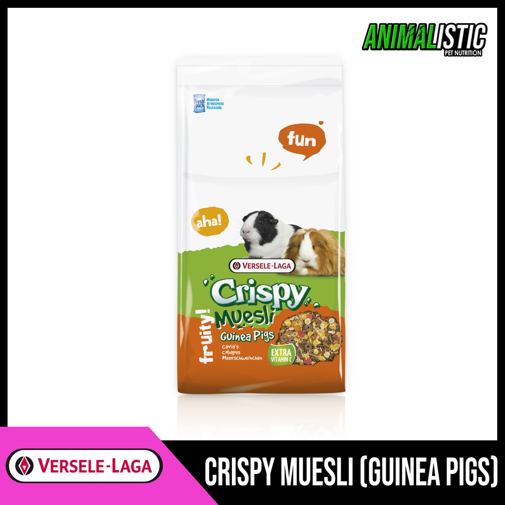 Crispy Muesli Guinea Pig Food 400G Shopee Philippines