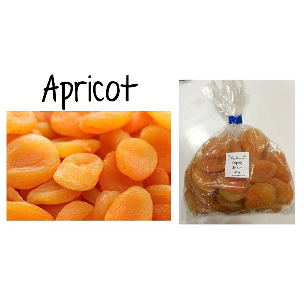 turkish dried apricot fruit 100g 250g Shopee Philippines