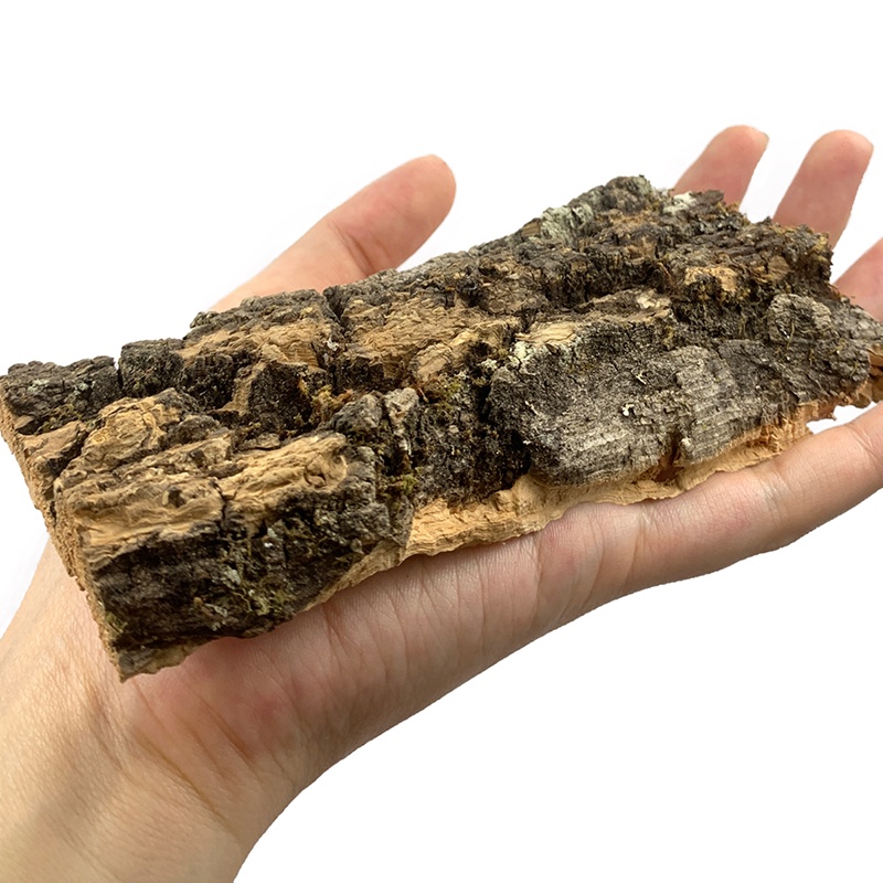 Cork Bark Hide for Isopods Reptiles Exotic Pets Terrariums Shopee