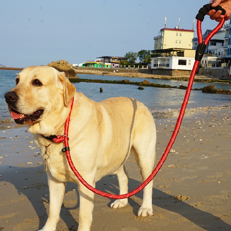Pet Dog Leash Rope Adjustable Training Lead Dog Strap Rope Shopee