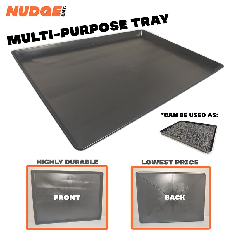 Foot Tray Sanitation Tray Disinfectant Tray Shopee Philippines