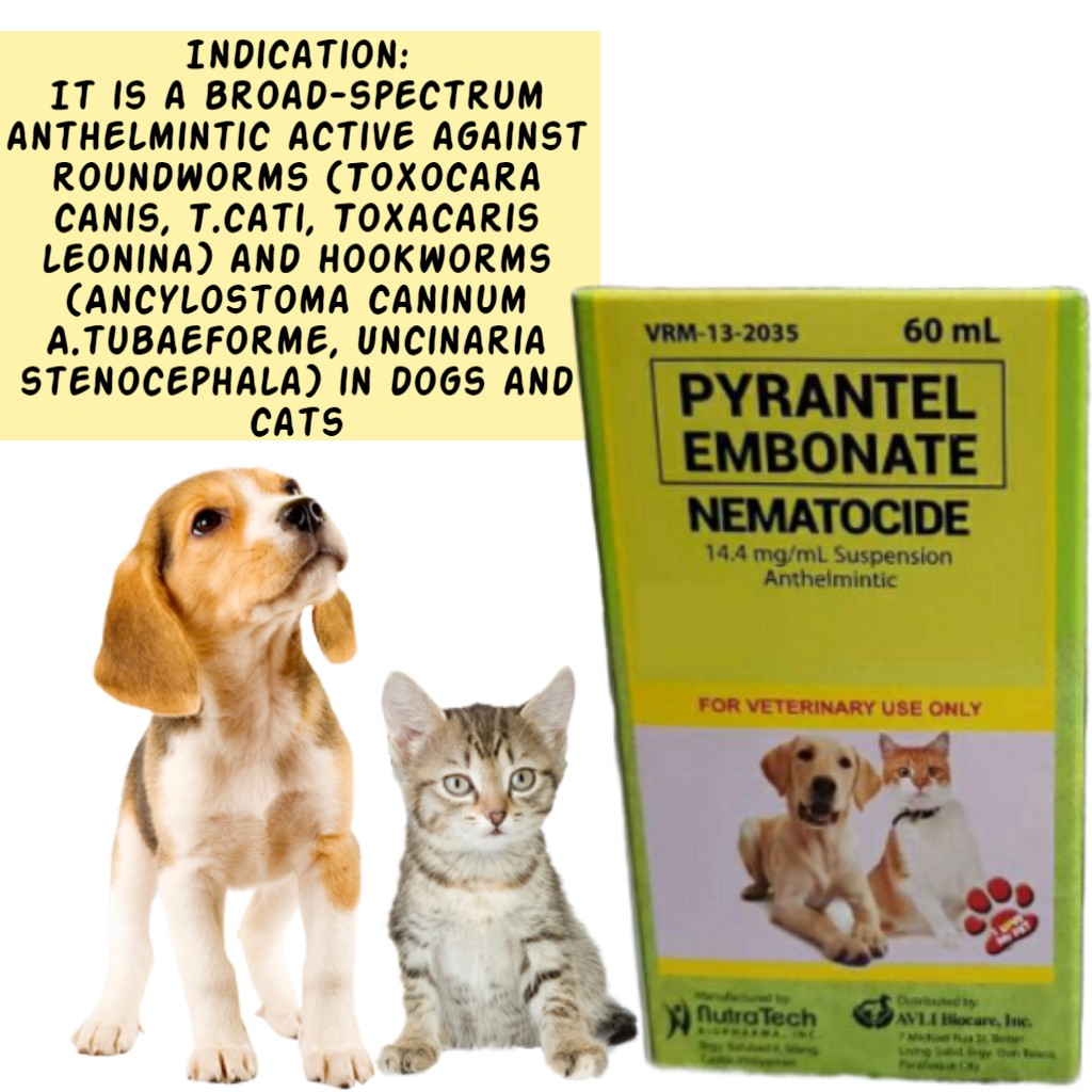 Best Deworming Medicine For Puppies Philippines Puppy And Pets