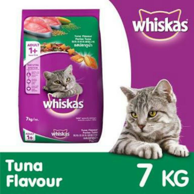 Dry Cat Food Brands Philippines Cat Mania