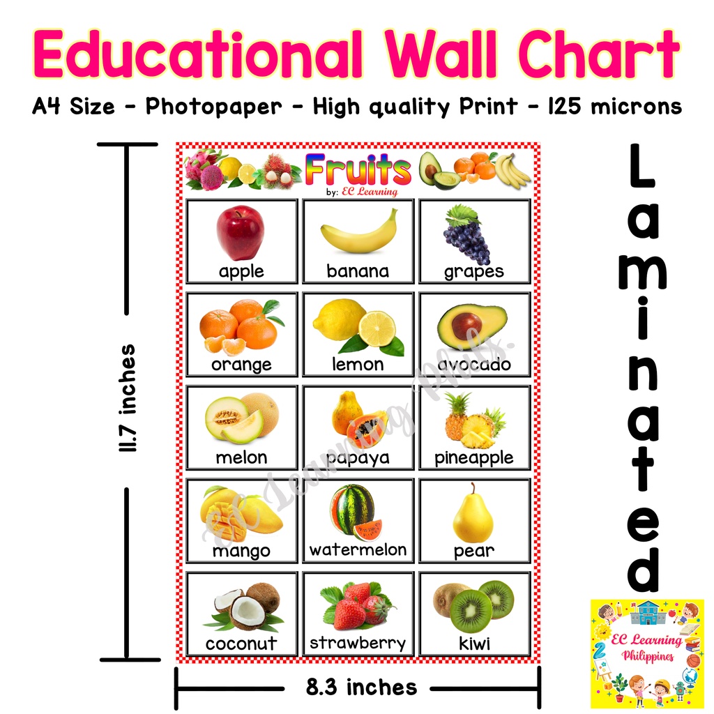 Fruits Chart For Kids Laminated A4 Shopee Philippines Images and