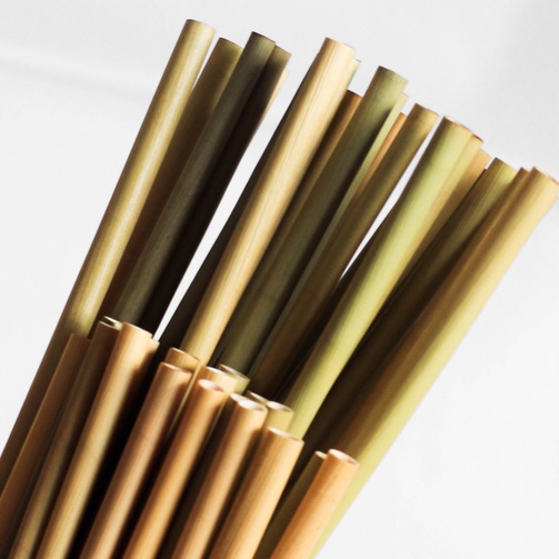 Grass Straw (100 pcs) Shopee Philippines