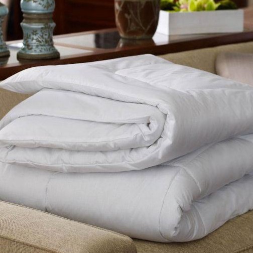 Plain White Duvet Filler Comforter 1.8 QUEEN Shopee Philippines