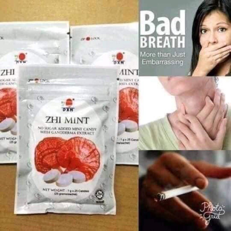 DXN ZHI MINT CANDY 25g600g Shopee Philippines