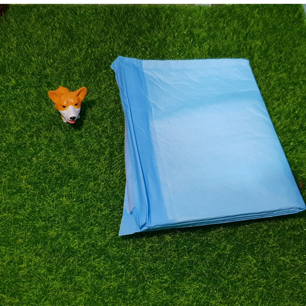 Pet Pee Pad Dog Pee Training Pad Cat Pee Pad Pet Wee Pee Poop Training