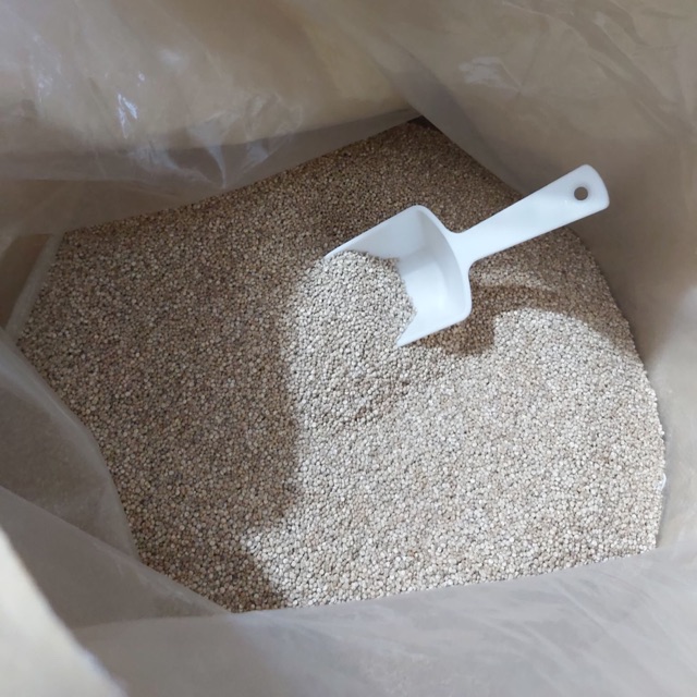 Organic White Quinoa Rice Shopee Philippines