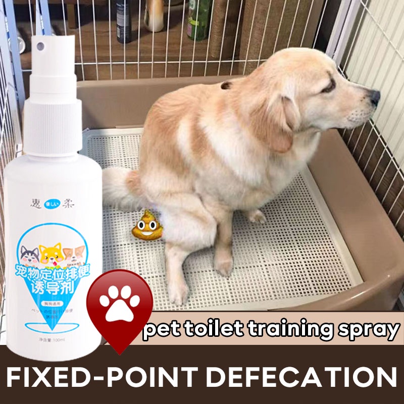GSQ Fixedpoint defecation potty spray training dog training potty for
