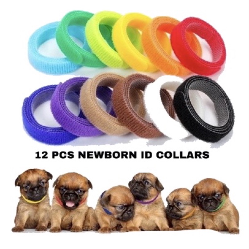 12pcs Puppy ID Collars Adjustable Pet ID Tag Collar Shopee Philippines
