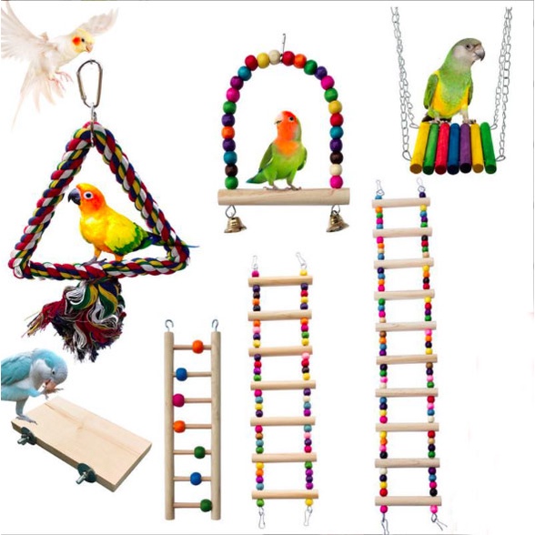 parrot toys Best Prices and Online Promos Mar 2023 Shopee Philippines