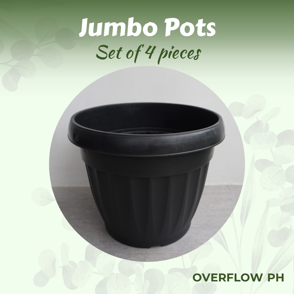 Set of 4 Jumbo Pots BIG Black Pots Shopee Philippines