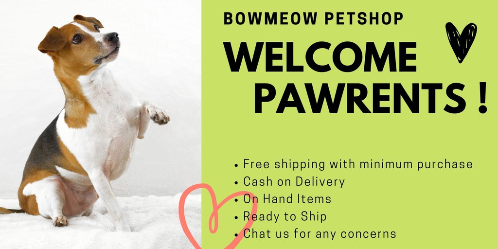 BowMeow + Toys, Online Shop Shopee Philippines