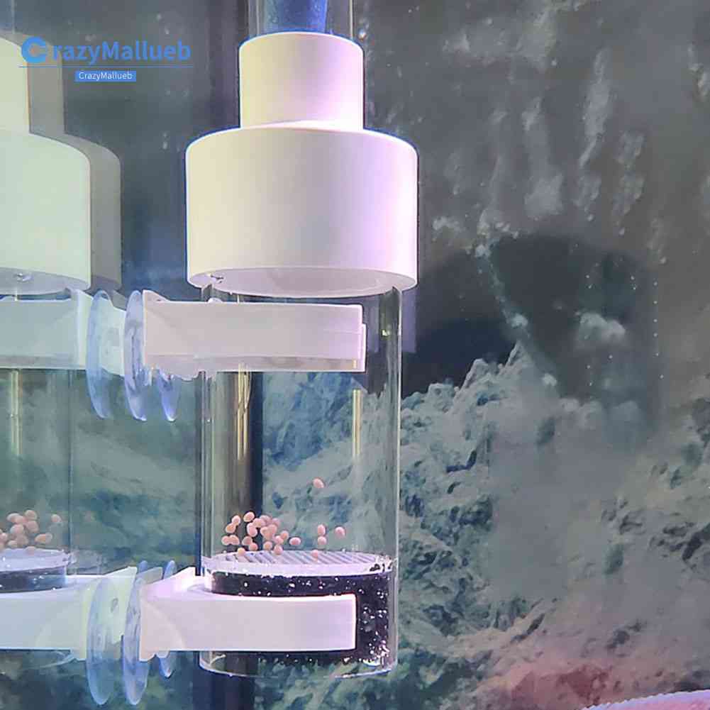 40mm Aquarium Cichlids Tumbler Tropical Fish Egg Incubator Ornamental