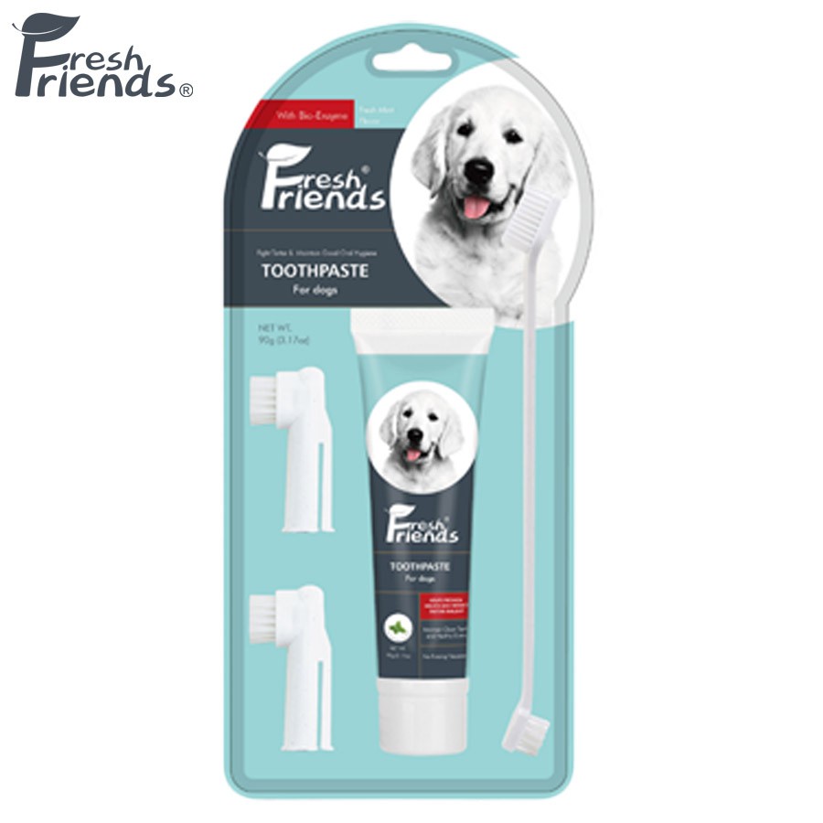 Fresh Friends Mint Flavor Toothpaste and Toothbrush for Dogs Set 90g