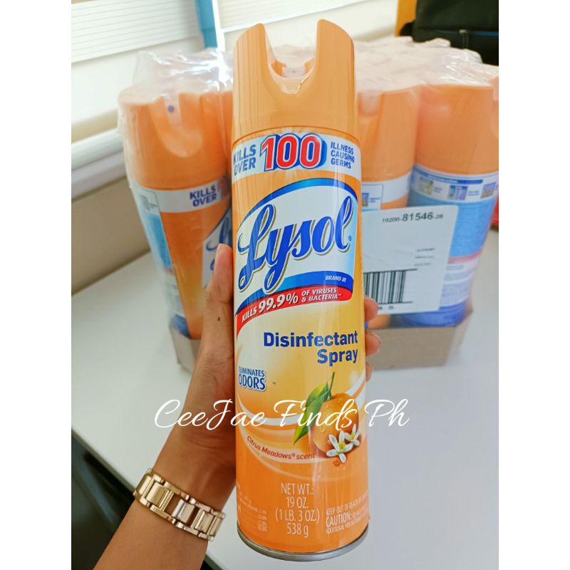 Lysol Citrus Meadows Scent Disinfectant Spray 530g Shopee Philippines