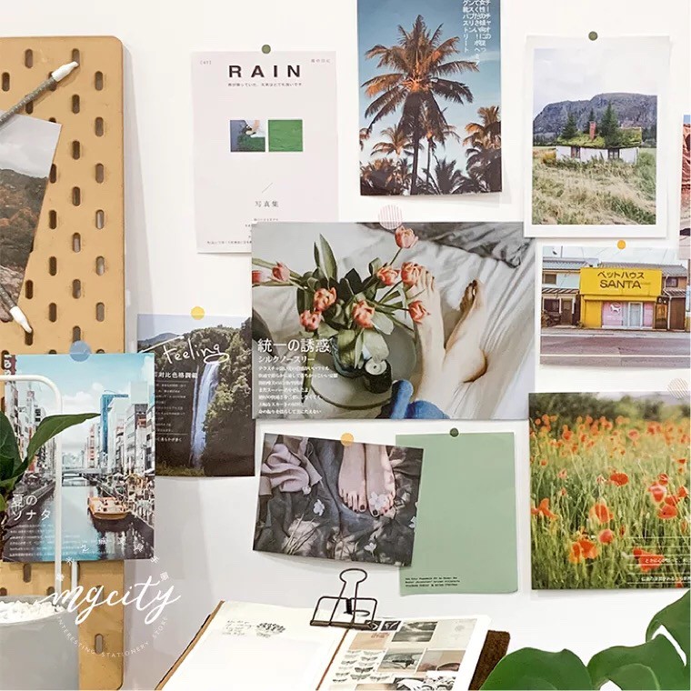 15pcs.pack Nature Photo Shots Big Wall Posters for Aesthetic decoration