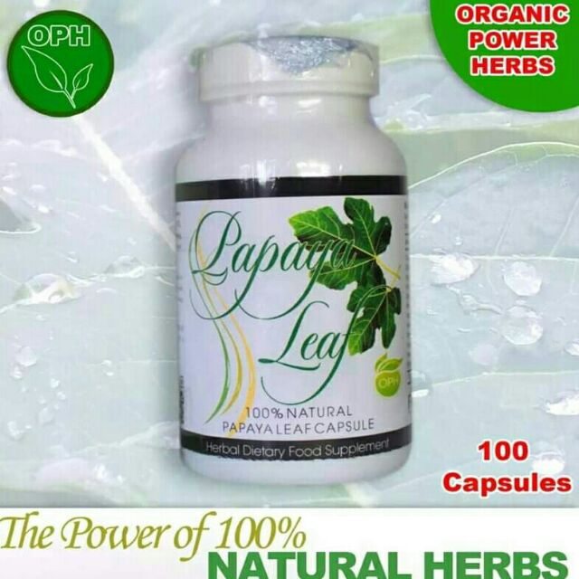 PAPAYA LEAF HERBAL CAPSULE Shopee Philippines