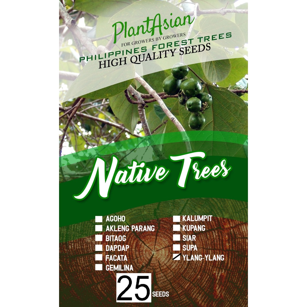 YLANG YLANG TREE SEEDS 25 SEEDS Shopee Philippines