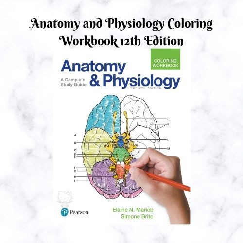 128 results for anatomy and physiology coloring workbook