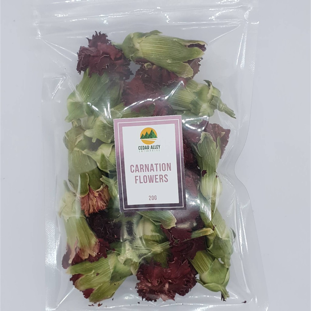 Dried Carnation Flowers 20g Shopee Philippines