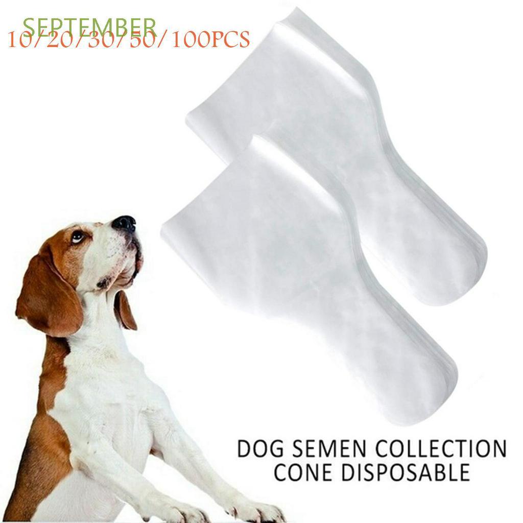 What Is The Color Of Dog Sperm